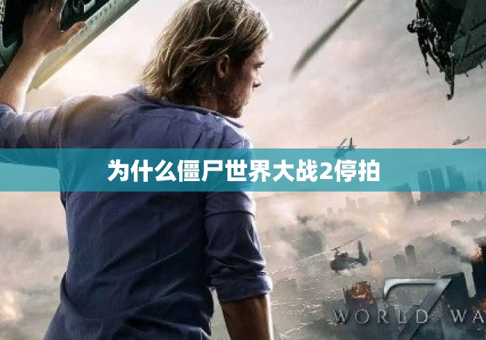 为什么僵尸世界大战2停拍 为什么僵尸世界大战2停拍